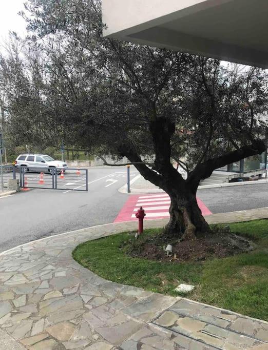 Apartament Spacious In Luxury Tirana
